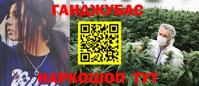 дмт Сланцы