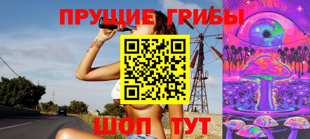Псилоцибиновые грибы Psilocybine cubensis  Вход с VPN  Мариинск 